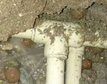 红山测漏水多少钱