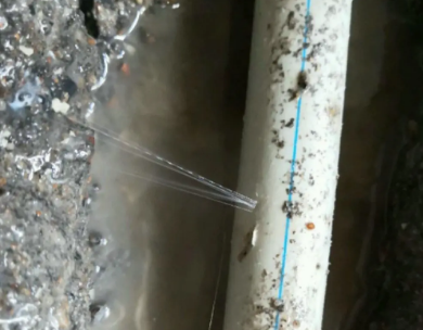 红山测漏水哪家好