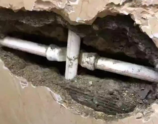 红山测漏水哪家好