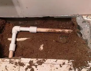 红山测漏水哪家好