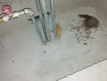 红山卫生间测漏水价格明细