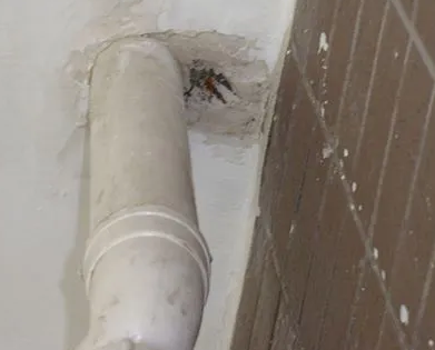 红山漏水检测哪家好